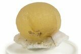 Botryoidal Yellow Fluorite on Quartz - India #342400-1
